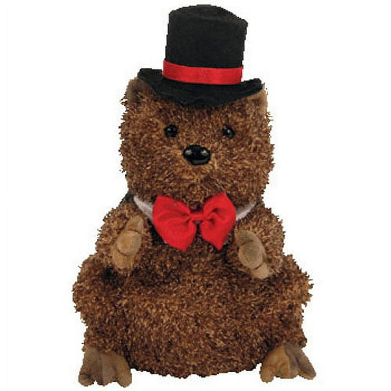 TY Beanie Baby PUNXSUTAWNEY PHIL 2006 the Groundhog (Chamber of
