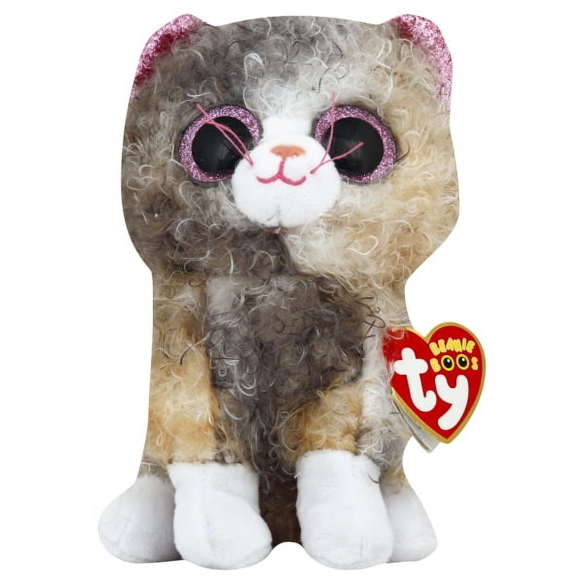 TY Beanie Boos SCRAPPY the Curly Haired Cat Glitter Eyes Regular Size 6 inch