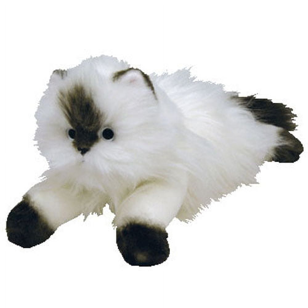 Cat Products – The Angels Pet Store