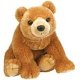 thumbnail image 1 of TY Classic Plush - CAMPER the Bear (9.5 inch), 1 of 1