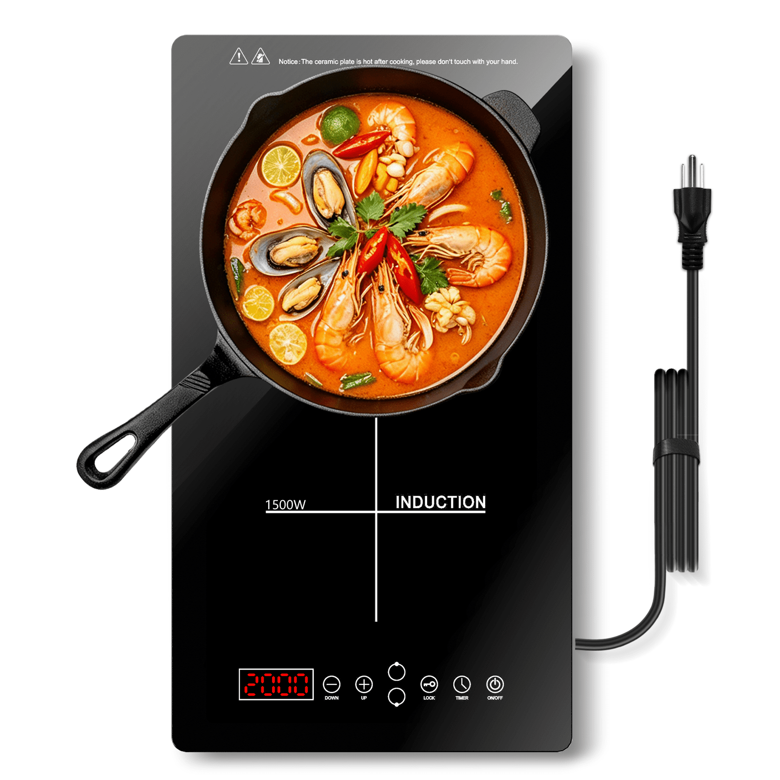 TYEMUI Double Burner Induction Cooktop,12 inch Glass Top Electric Stvoe for Cooking,1900W Fast Heating,Built-in & Countertop,120V Plug in Stoves with Safty Lock and Timer,9 Power Levels