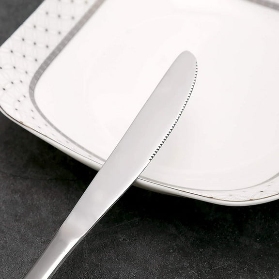 TYHREF-6-Piece Dinner Knives Set Heavy Duty Stainless Steel Knife Silver Cutlery Set 9 inches (6 knives)