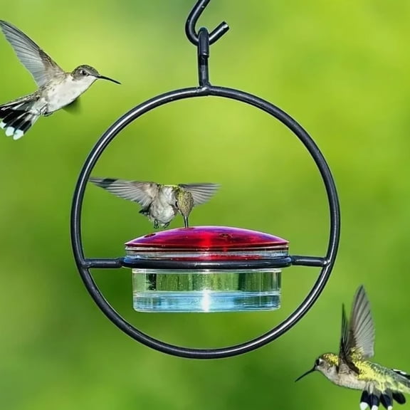 TYPPKMM  Circular Hanging Hummingbird Feeder with Water Feeders for Bird Courtyard