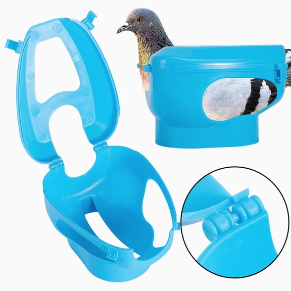 TYPPKMM Lightweight Racing Pigeon Holder for Injection Feeding Vaccination Mount 1Pc, Blue