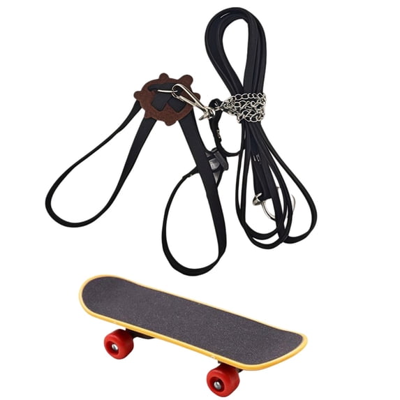 TYShandao Pet Leash and Skateboard Set