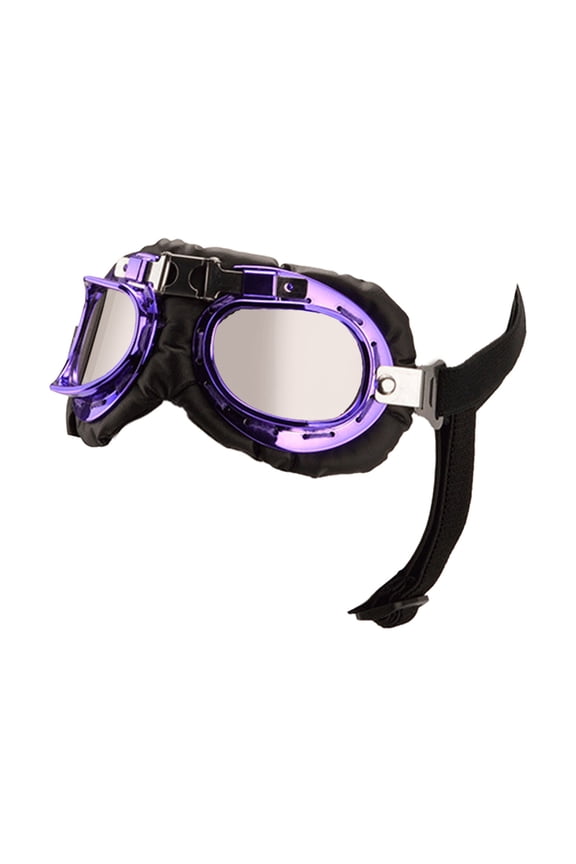 Pet Sunglasses