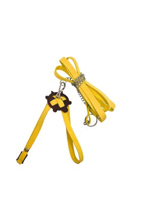 Turtle Leather Belt, Leash