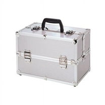TZ Case TC-06 SS Basic Beauty Case, Silver Stripe