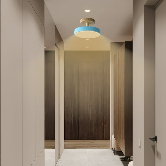 TaTaai 1Pcs Modern LED Ceiling Light Fixture, Round LED Dimmable Ceiling Lighting with Lampshade for Bedroom, Hallway