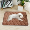 thumbnail image 1 of TaTaai 2Pcs Cooling Dog Foam Pad & Summer Pet Sleeping Mat, Machine Washable, Materials Safe, Portable Flat Pet Bed for Dogs, 1 of 5