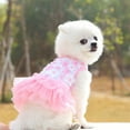 thumbnail image 1 of TaTaai 2Pcs Dog Dress for All Seasons, Small Dogs Girl Skirt Female Puppy Dresses Pet Yorkie Chihuahua Tulle Dress,Birthday Party Lace Costume Tutu Apparel, 1 of 5