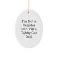 thumbnail image 1 of Tabby Cat Dad Oval Ornament, Funny Christmas Unique Gift, I'm Not A Regular Dad. I'm A Tabby Cat Dad., 1 of 1