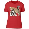 thumbnail image 1 of Tabby Cat On Saint Bernard T-Shirt Women -Image by Shutterstock, Female Large, 1 of 2