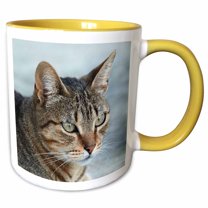 3drose, Tabby Cat Portrait, 15oz Two-tone Yellow Mug