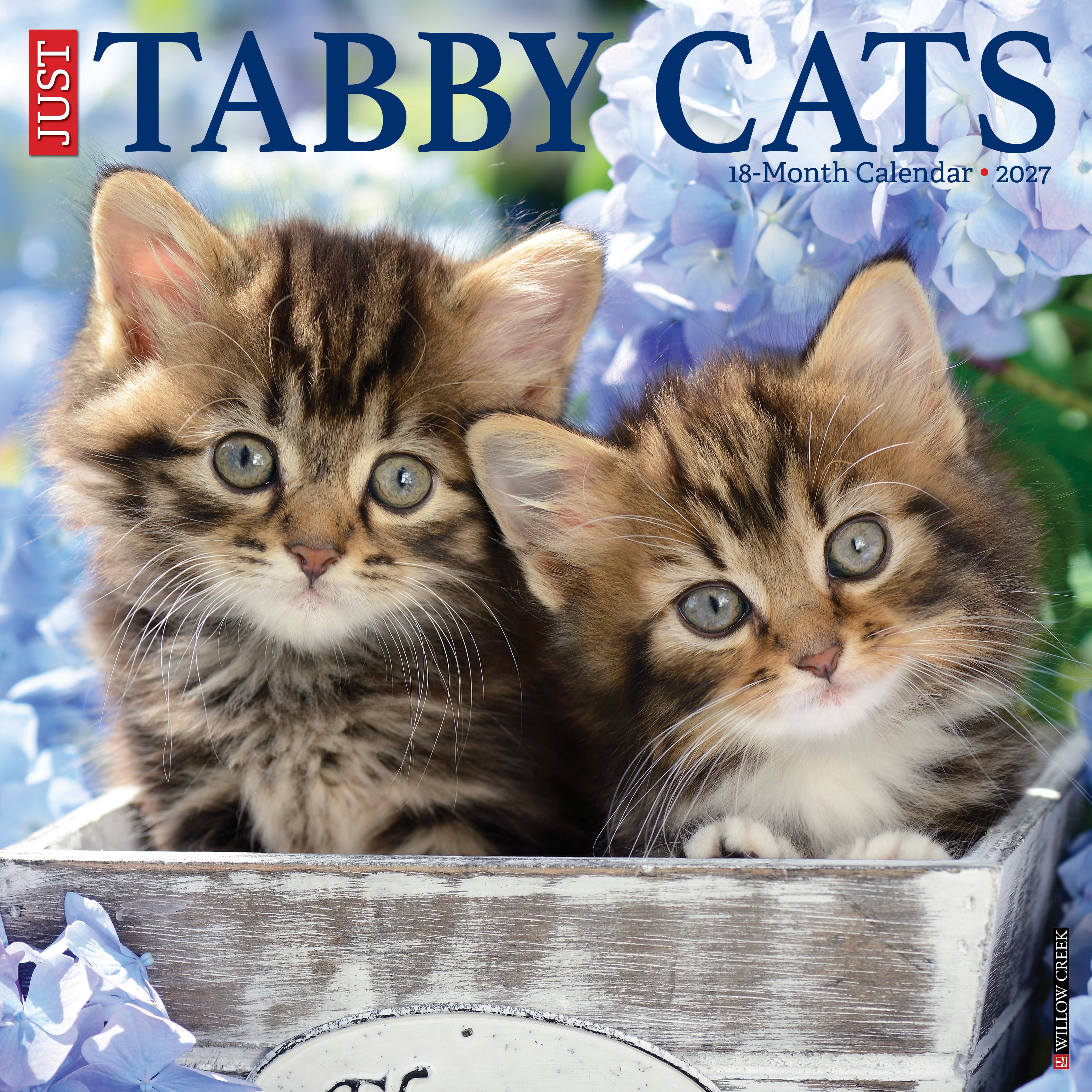 Willow Creek Press, Tabby Cats 2027 Wall Calendar