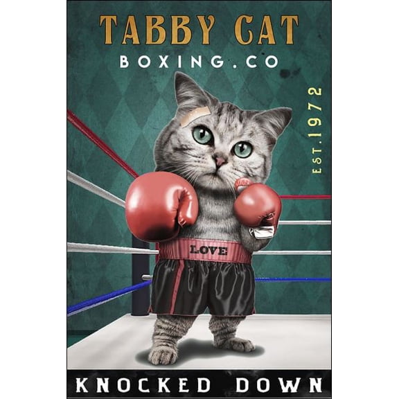 Tabby cat boxing co knocked down poster 11 x 17 Inch Poster
