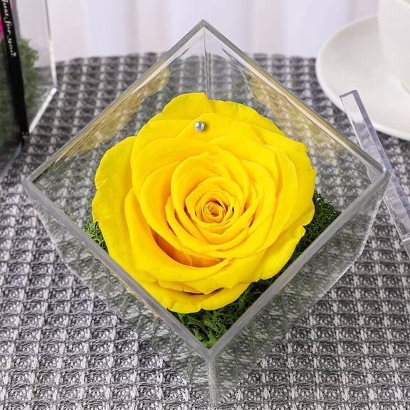 Table Décor Enchanted Real Preserved Forever Rose in Clear Acrylic Box, Fresh-Cut Eternity Flower that Lasts Years, Valentine’s Day, Mother’s Day, Anniversary Gift for Her (Yellow)