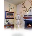 thumbnail image 1 of Table Hooker Powder Coated Steel Trophy Mount | Graphite Black/Robust Brown | No-Drill Kit for Deer Antlers & Other Skulls Table Display, 1 of 5