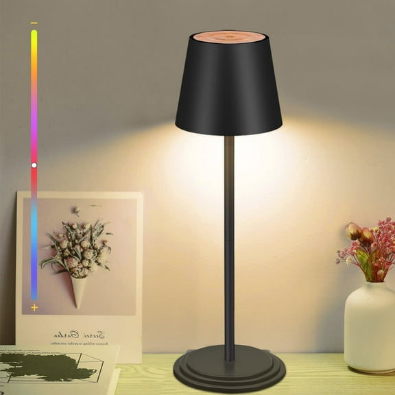 Table Lamp Dimmable Touch, 64 Color Changing RGB Touch & Remote Control - 10", for Living Room, Dorm, Home Office(Black)