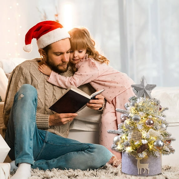 Table Top Christmas Tree,Pre Lit Christmas Tree Decorated Artificial Snow Xmas Tree with Ornaments Bow Pentagram Pinecones and LED String Lights for Office Home Decor,Silver