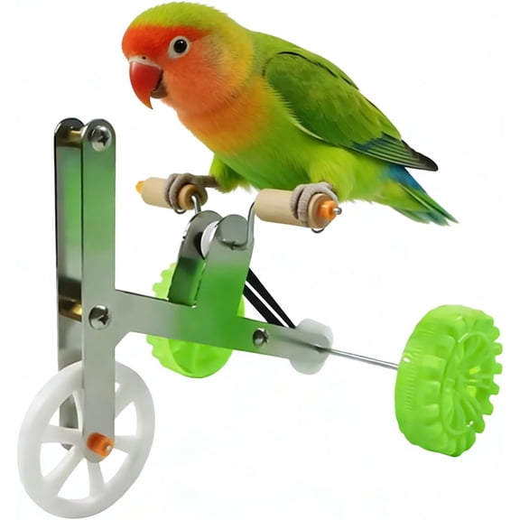 Table Top Parrot Training Bicycle Intelligence Toy for African Grey Macaw Cockatoo