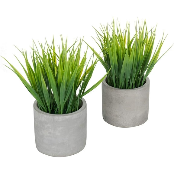 Tabletop Artificial Grass Plants Decorative Faux Greenery Plant Potted in Modern Cylindrical Black Cement Pots, Set of 2