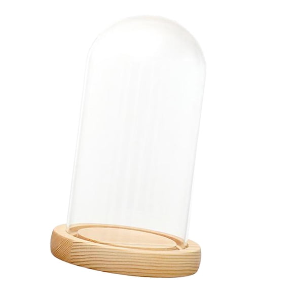 Tabletop Glass Hemisphere Dome Cover Shade Cabochon Cloche with Cork Decor Flowerpot 22cm 12 x 22cm