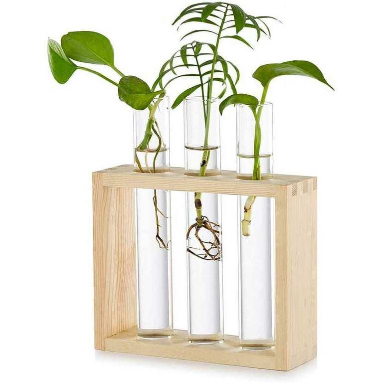 Modern Test Tube Propagation Planter, To DIY or To Buy!!