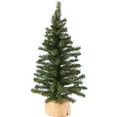 thumbnail image 1 of Tabletop Pine Trees with Wood Base 2 Trees Crafting, Decorating, and Displaying, 1 of 3