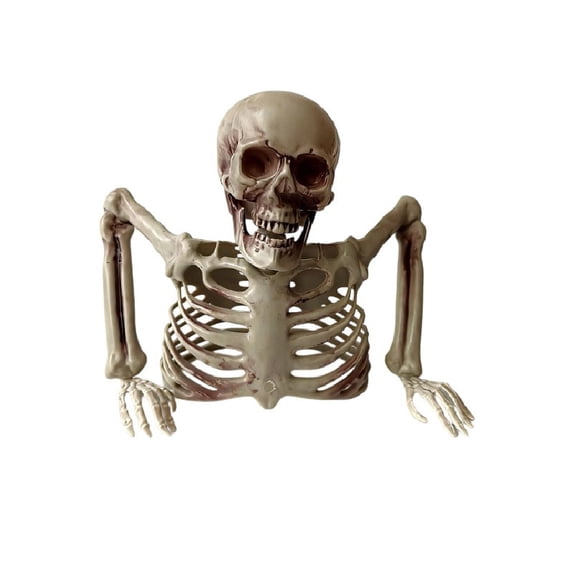 Tabletop White Plastic Half Skeleton Halloween Prop Decoration,2026 Halloween New Home Decor