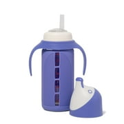 Tabor Place Glass Sippy Cup for Toddlers - The Luca
