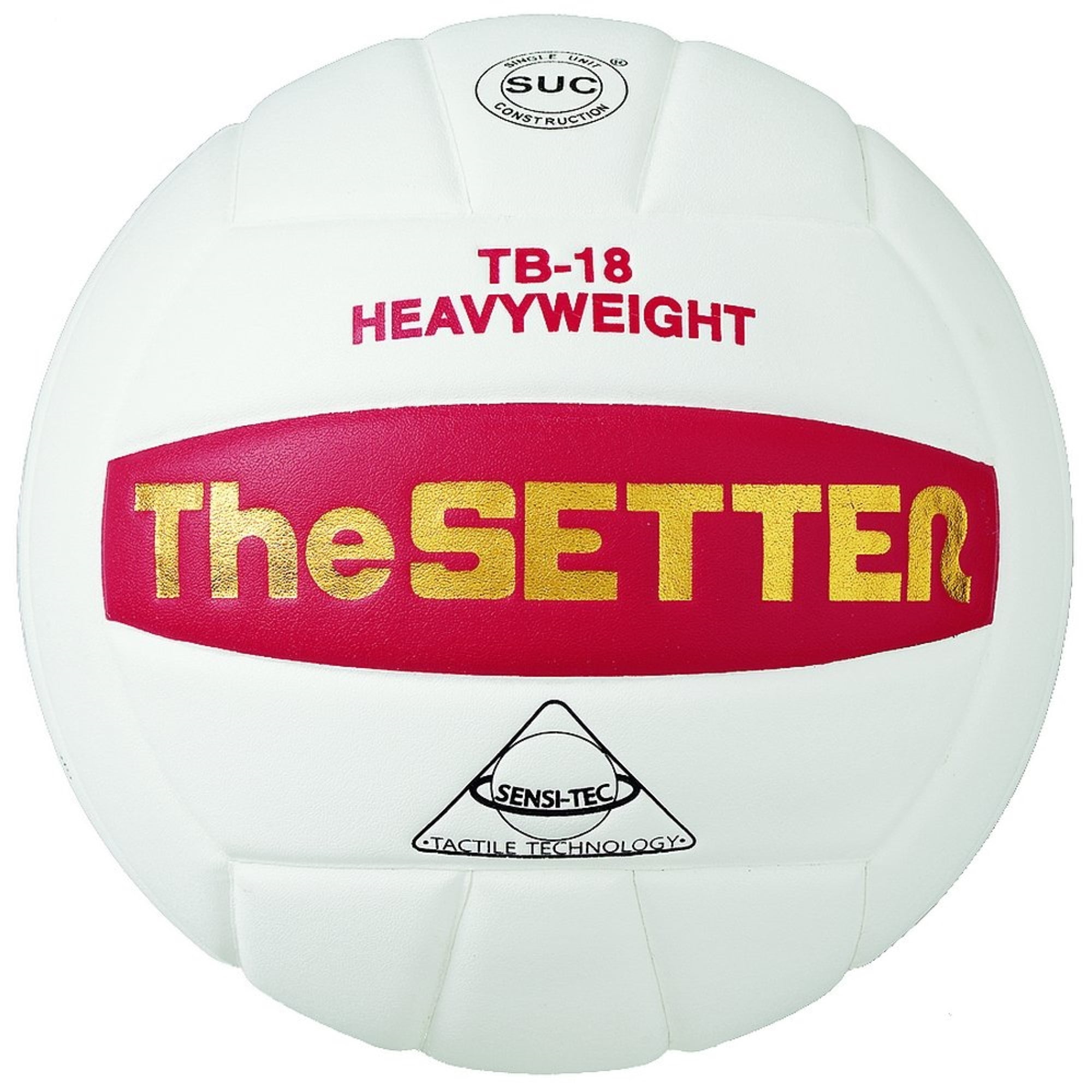 Tachikara TB-18 Heavyweight The Setter Training Volleyball