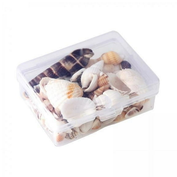 Tachiuwa 4x Boxed Lot Natural Beach for Crafting DIY Jewelry Making - Home Decor