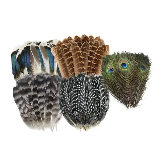 Tachiuwa Crafts Feathers Artificial Feather Decorative Art Supplies Ornament Colorful Feathers Handicraft Accessories for DIY Crafting 50pcs