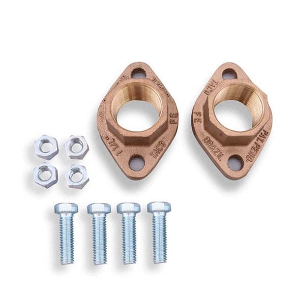 Flange Kit, Pipe Size 1 1/4In.NPT, SS, PK2 110-253SF-1