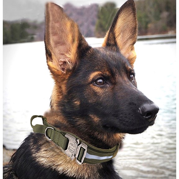 Tactical Reflective Dog Collar with Control Handle,Adjustable Military Nylon Dog Collar and Heavy Quick-Release Metal Buckle for Small Medium Large Training Dogs (Green,m )