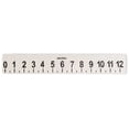 thumbnail image 1 of Tactile Braille Ruler, 1 of 1