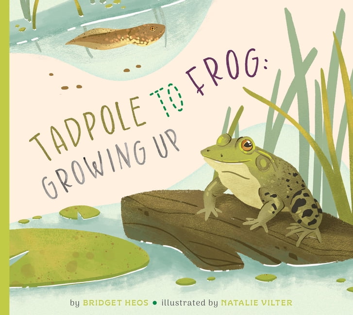 Tadpole to Frog: Growing Up, (Paperback)