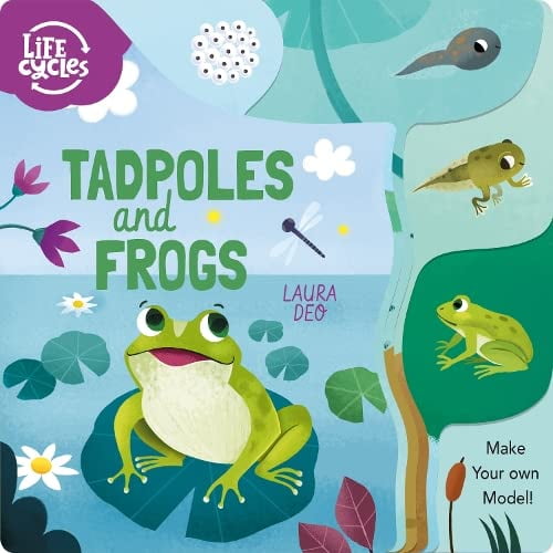 Pre-Owned Tadpoles and Frogs: Make Your Own Model! (Life Cycles) (Unknown) 1838579974 9781838579975