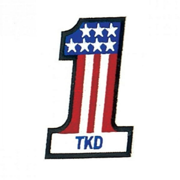 Taekwondo USA Martial Arts Patch, 4"
