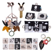 Taf Toys Black and White Newborn Kit - 10 Black and White Baby Toys, High Contrast Baby Toys for Newborn, Baby Essentials Must Haves, Tummy Time Toys for Motor Skills Infants Babies 0 3 6 Months
