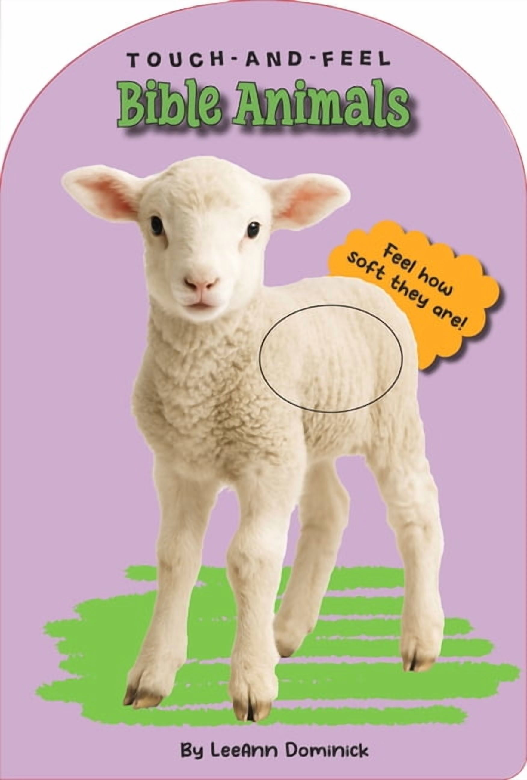 Taffy Touch and Feel Bible Animals Touch and Feel, (Board Book)