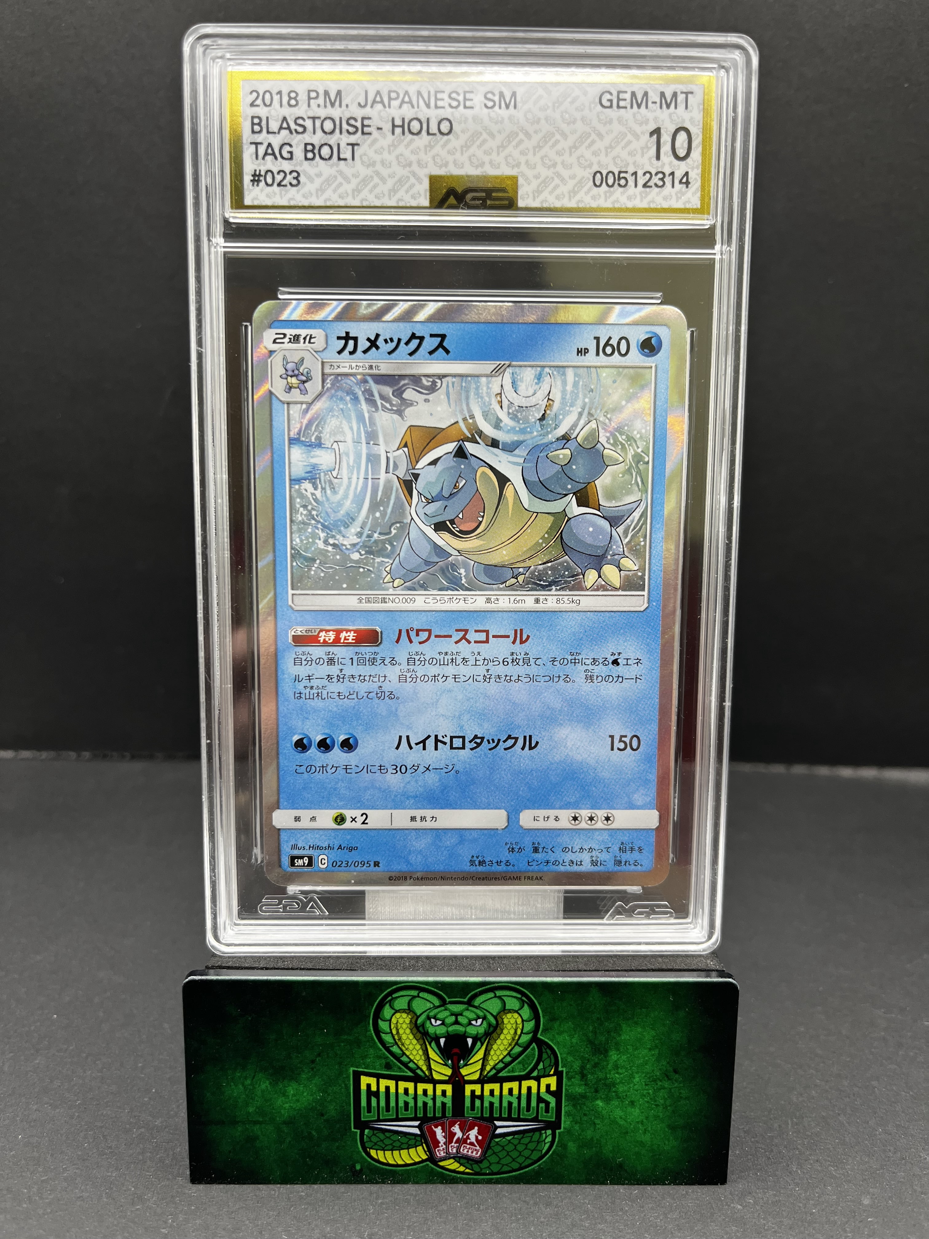 Blastoise Pokemon Card