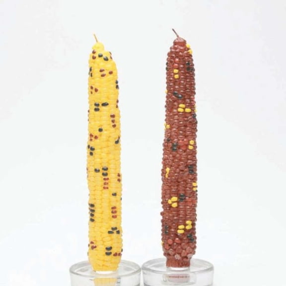 Tag Harvest Corn Taper Candles Set/2 - Two Taper Candles Inch, - Indian Corn Autumn Thanksgiving 710973