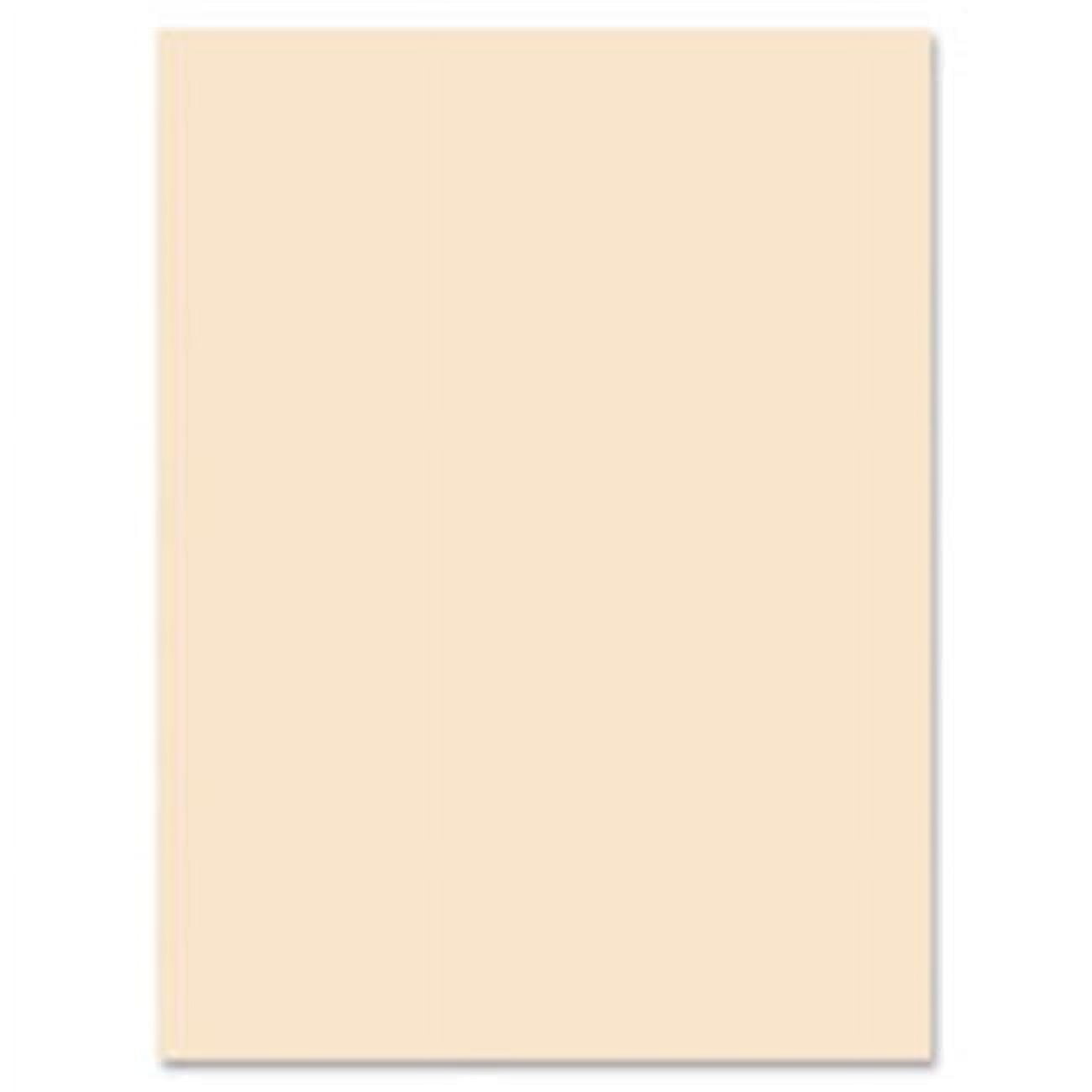 Tagboard- 18 in. x 24 in.- 100Shts- Manila