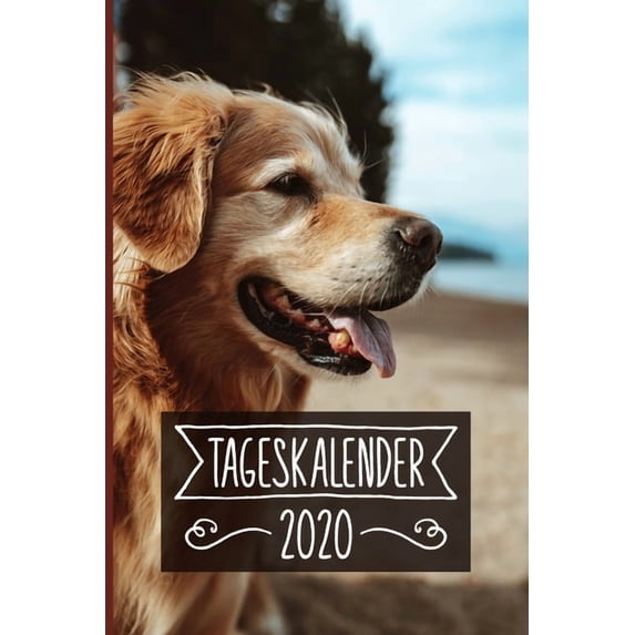 Tageskalender 2020: Terminkalender ca DIN A5 weiß über 370 Seiten I 1 Tag eine Seite I Jahreskalender I Golden Retriever I Hunde (Paperback)