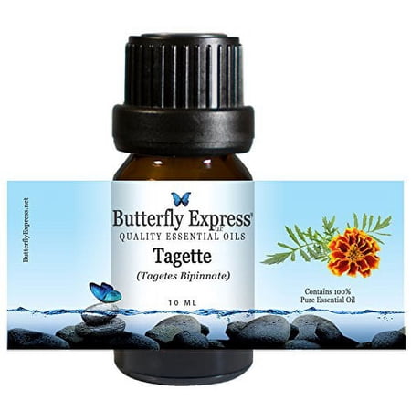 Tagette Essential Oil 10ml - 100% Pure by Butterfly Express