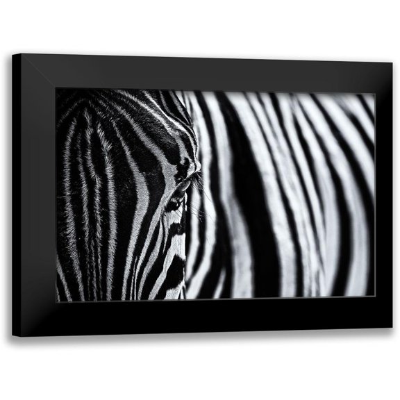 Tagliarino, Marco 14x11 Black Modern Framed Museum Art Print Titled - The Look Of Nature