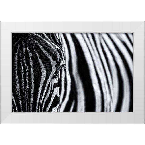 Tagliarino, Marco 14x11 White Modern Wood Framed Museum Art Print Titled - The Look Of Nature