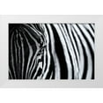 thumbnail image 1 of Tagliarino, Marco 18x13 White Modern Wood Framed Museum Art Print Titled - The Look Of Nature, 1 of 4